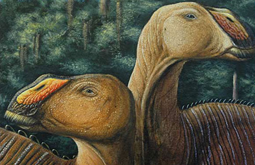 Gryposaurus monumentensis