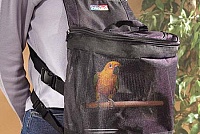 Попугай в сумке